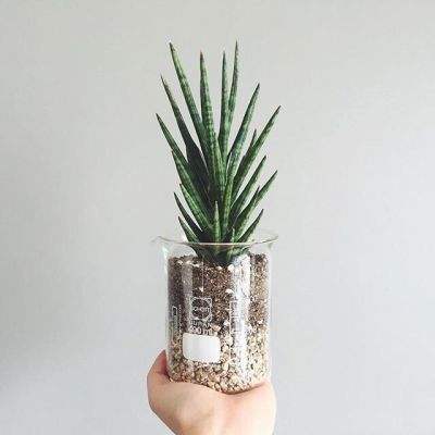 kok中欧登录入口手机app下载