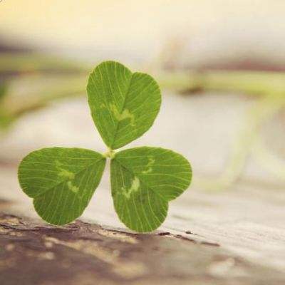 威尼斯澳门人下载手机版