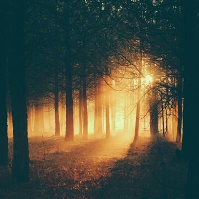 百姓彩票手机app下载