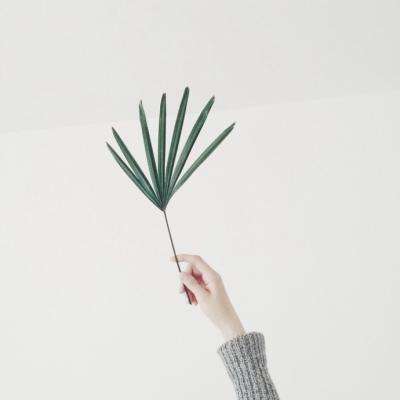 b体育官方体育app下载手机版