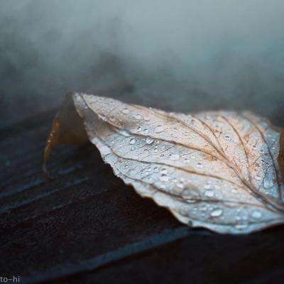 kok下载-登录入口