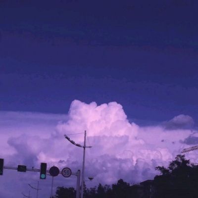 三张牌下载金花免费下载手机版